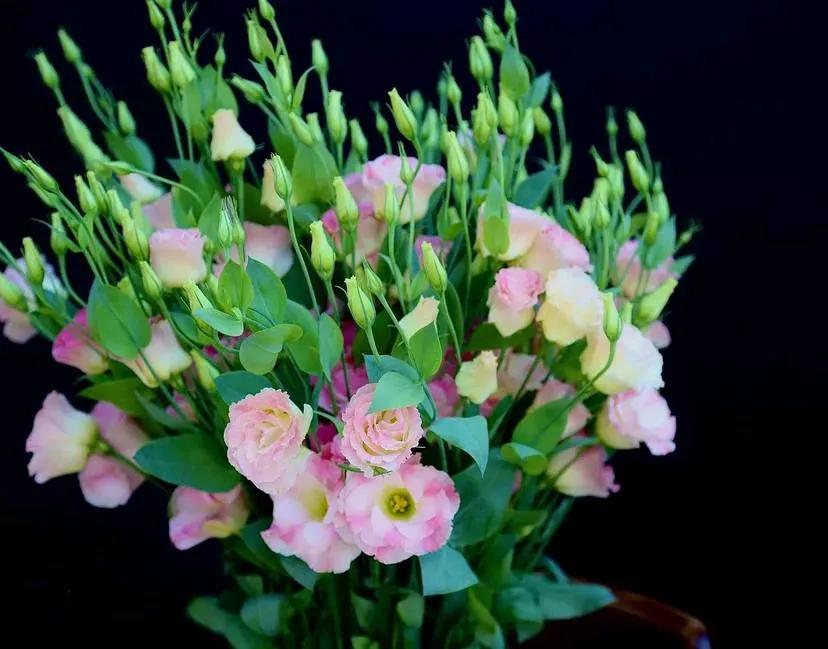 Bunch of lisianthus | ծաղիկներ, ծաղկեպսակներ, բույսեր - առաքում Երևան