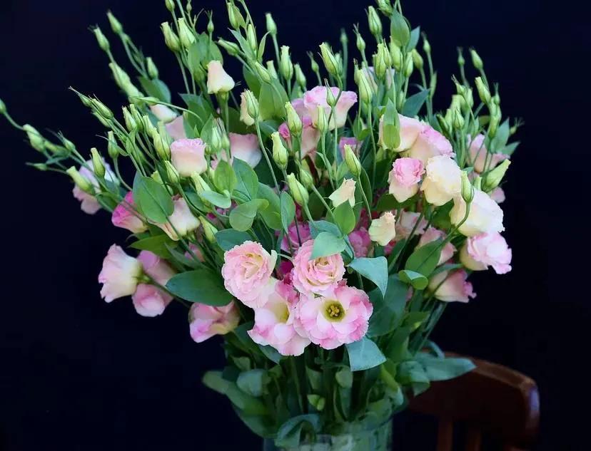 Bunch of lisianthus | ծաղիկներ, ծաղկեպսակներ, բույսեր Երևան