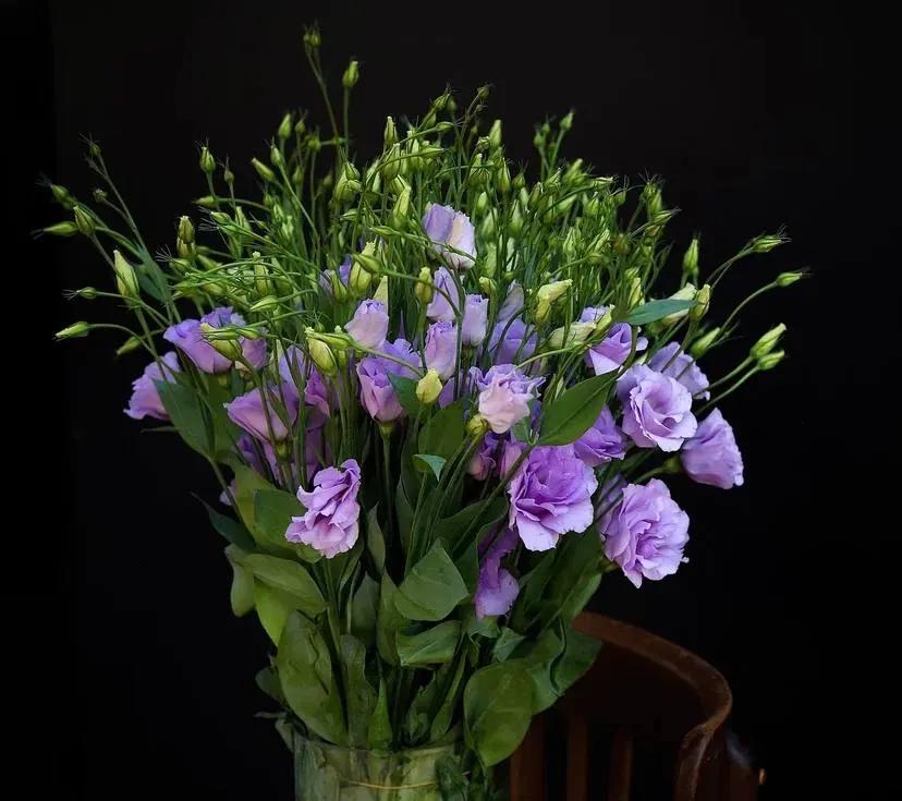 Bunch of lisianthus | ծաղիկներ, ծաղկեպսակներ, բույսեր Երևան