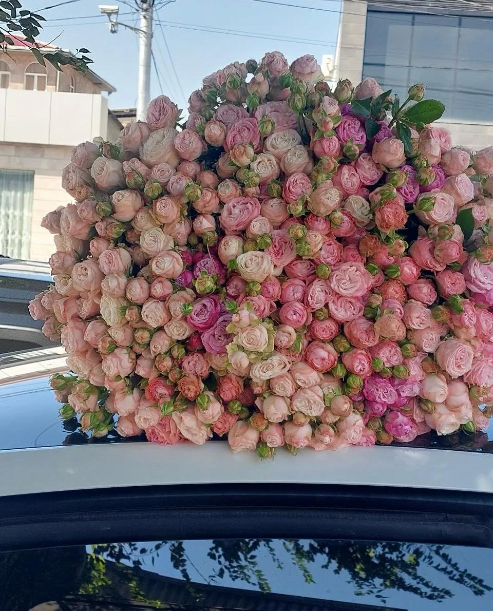 101 փնջային վարդեր | ծաղիկներ, ծաղկեպսակներ, բույսեր Երևան