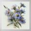 Aster ծաղիկների | ծաղկեպսակների առաքում Երևան Aster ծաղիկների | ծաղկեպսակների առաքում Երևան