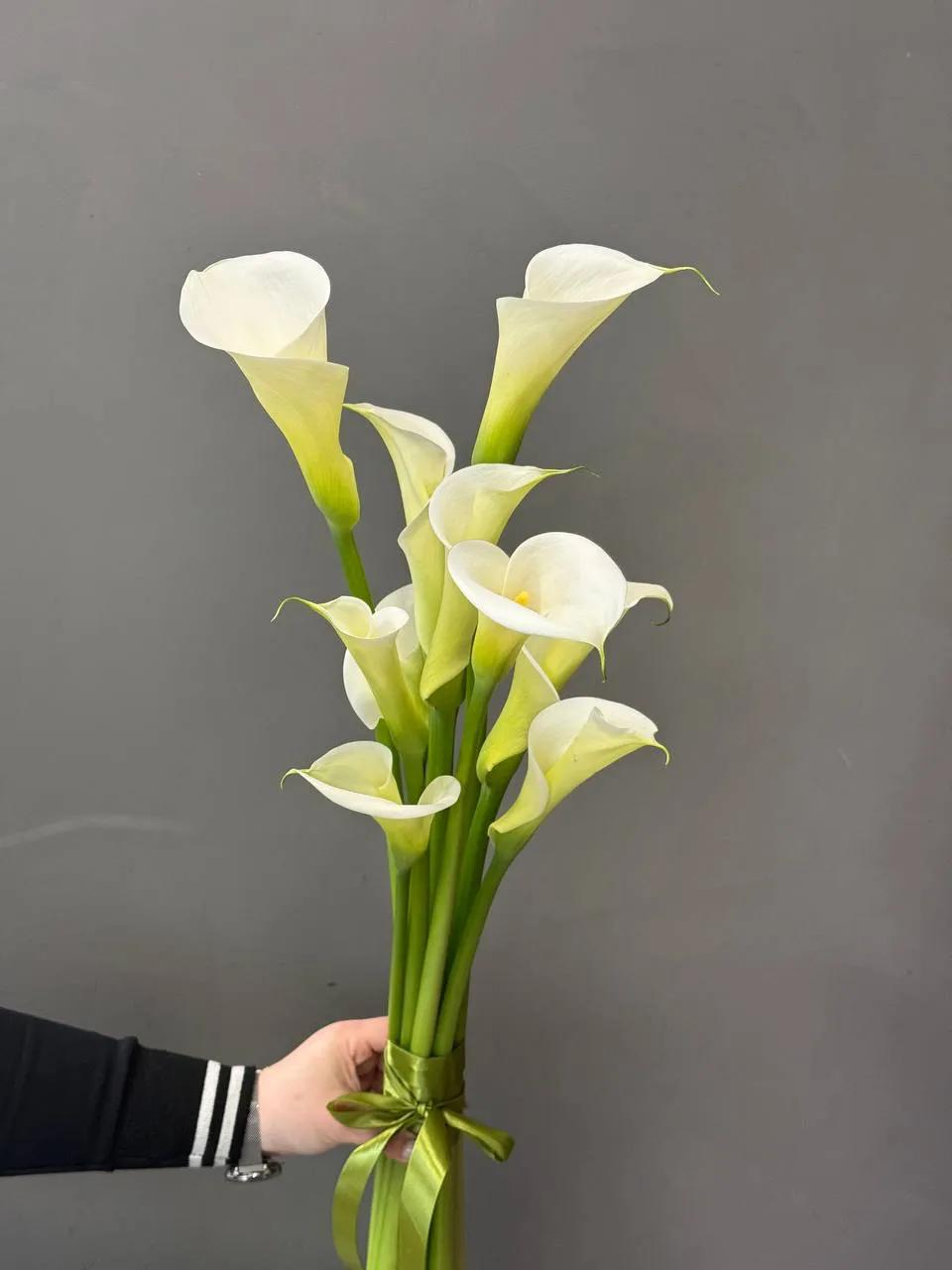 Callas | ծաղիկներ, ծաղկեպսակներ, բույսեր Երևան Callas | ծաղիկներ, ծաղկեպսակներ, բույսեր Երևան