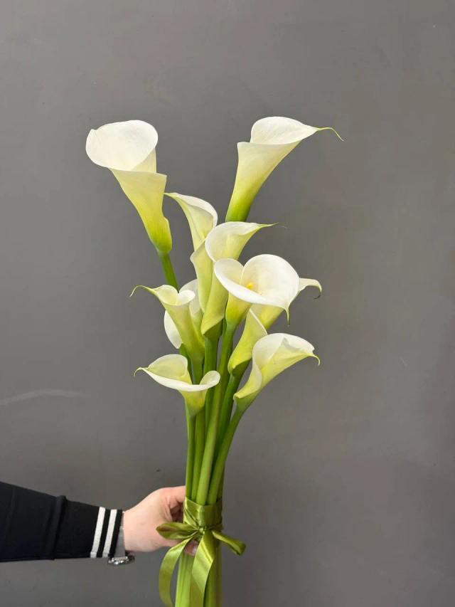 Callas | ծաղիկներ, ծաղկեպսակներ, բույսեր - առաքում Երևան Callas | ծաղիկներ, ծաղկեպսակներ, բույսեր - առաքում Երևան